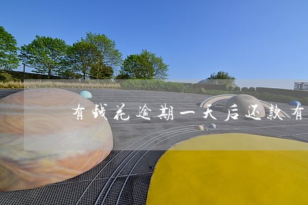有钱花逾期一天后还款有影响没 有钱花逾期一天后还款有影响没