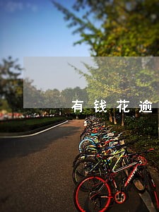 有钱花逾期一天多少利息