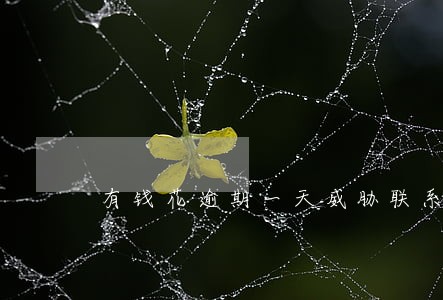 有钱花逾期一天威胁联系家人 有钱花逾期一天威胁联系家人