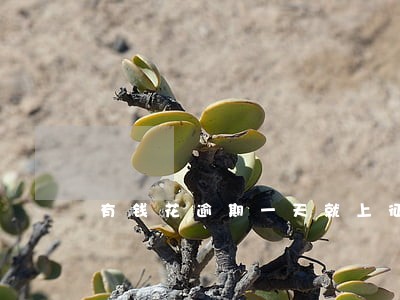 有钱花逾期一天就上征信 有钱花逾期一天就上征信