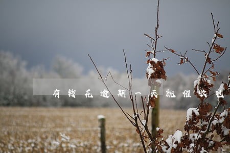 有钱花逾期一天就催收电话 有钱花逾期一天就催收电话