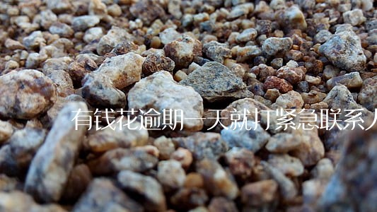 有钱花逾期一天就打紧急联系人 有钱花逾期一天就打紧急联系人