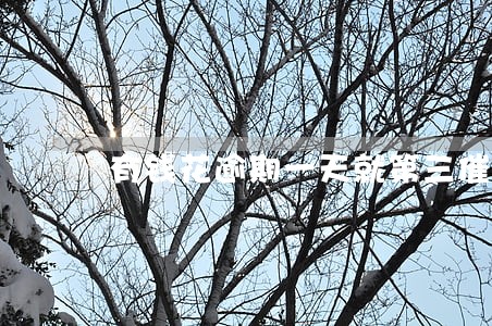 有钱花逾期一天就第三催收 有钱花逾期一天就第三催收