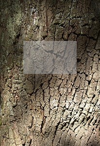 有钱花逾期一天就给家人打电话 有钱花逾期一天就给家人打电话