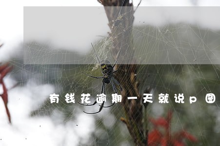 有钱花逾期一天就说p图 有钱花逾期一天就说p图