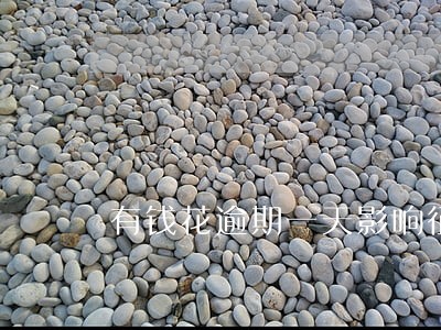 有钱花逾期一天影响征信 有钱花逾期一天影响征信