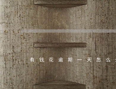 有钱花逾期一天怎么处理 有钱花逾期一天怎么处理