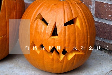 有钱花逾期一天怎么还款 有钱花逾期一天怎么还款