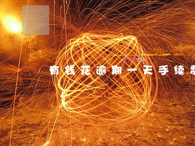 有钱花逾期一天手续费 有钱花逾期一天手续费