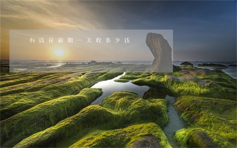 有钱花逾期一天收多少钱 有钱花逾期一天收多少钱