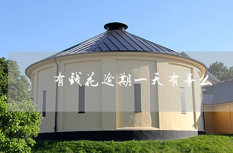 有钱花逾期一天有事么 有钱花逾期一天有事么