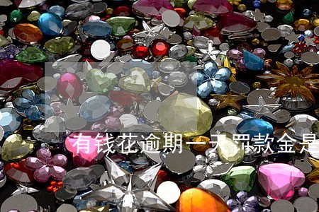 有钱花逾期一天罚款金是多少 有钱花逾期一天罚款金是多少