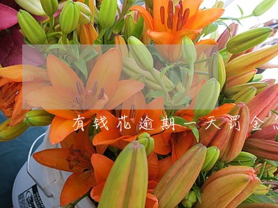 有钱花逾期一天罚金怎么还 有钱花逾期一天罚金怎么还