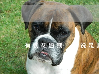 有钱花逾期一天说是要报案 有钱花逾期一天说是要报案