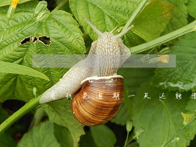 有钱花逾期一天还能借吗 有钱花逾期一天还能借吗