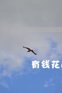 有钱花逾期一天还能再借吗
