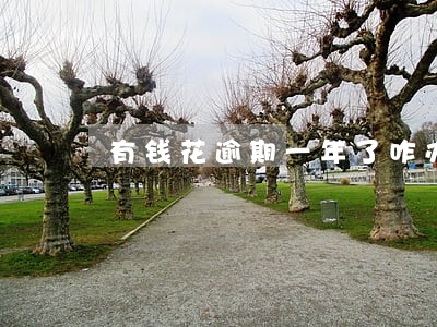 有钱花逾期一年了咋办 有钱花逾期一年了咋办