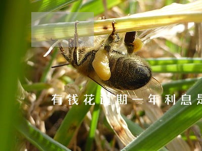 有钱花逾期一年利息是多少 有钱花逾期一年利息是多少