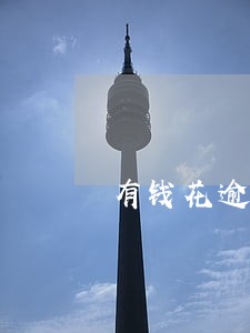 有钱花逾期一年罚息 有钱花逾期一年罚息
