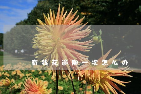 有钱花逾期一次怎么办