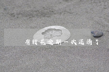 有钱花逾期一次还清了 有钱花逾期一次还清了