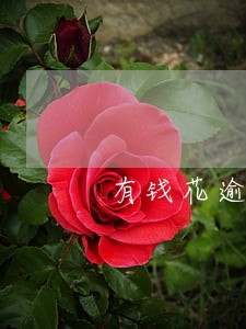 有钱花逾期一直不还会怎样 有钱花逾期一直不还会怎样
