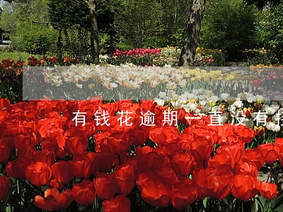 有钱花逾期一直没有接电话 有钱花逾期一直没有接电话