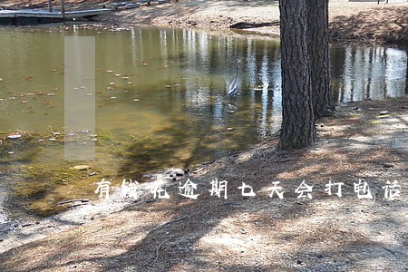 有钱花逾期七天会打电话么 有钱花逾期七天会打电话么