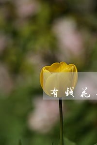 有钱花逾期三个月会上门催收吗 有钱花逾期三个月会上门催收吗