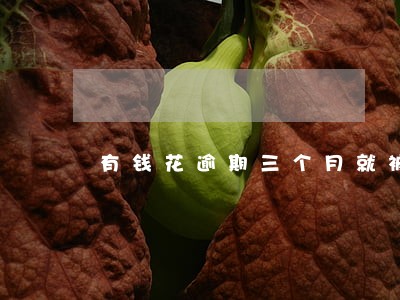 有钱花逾期三个月就被起诉吗