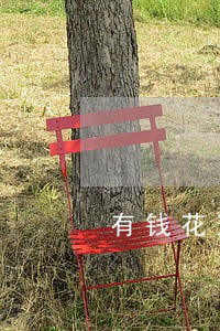 有钱花逾期三个月还了能借吗 有钱花逾期三个月还了能借吗