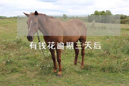 有钱花逾期三天后 有钱花逾期三天后