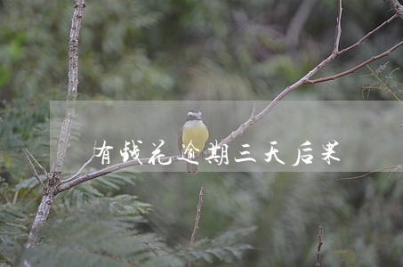 有钱花逾期三天后果 有钱花逾期三天后果