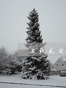 有钱花逾期三天后还款还能借吗 有钱花逾期三天后还款还能借吗