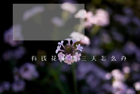 有钱花逾期三天怎么办 有钱花逾期三天怎么办