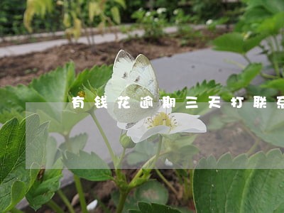 有钱花逾期三天打联系人电话吗 有钱花逾期三天打联系人电话吗