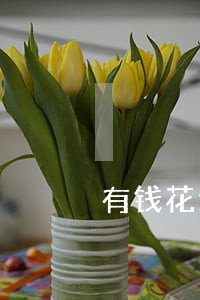 有钱花逾期三天申请立案 有钱花逾期三天申请立案