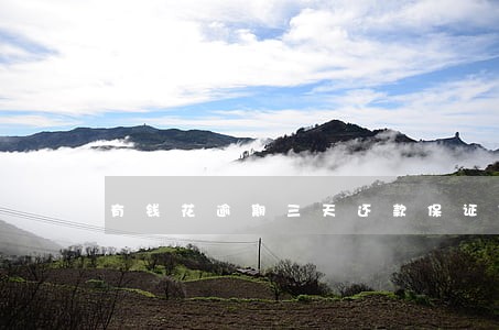 有钱花逾期三天还款保证期