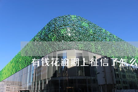 有钱花逾期上征信了怎么办 有钱花逾期上征信了怎么办