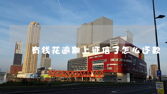 有钱花逾期上征信了怎么还款 有钱花逾期上征信了怎么还款