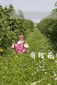 有钱花逾期上门怎么办 有钱花逾期上门怎么办