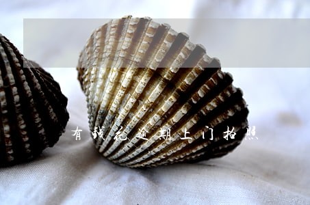 有钱花逾期上门拍照 有钱花逾期上门拍照