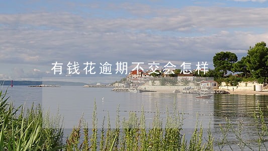 有钱花逾期不交会怎样 有钱花逾期不交会怎样