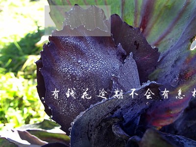 有钱花逾期不会有怎样的后果 有钱花逾期不会有怎样的后果