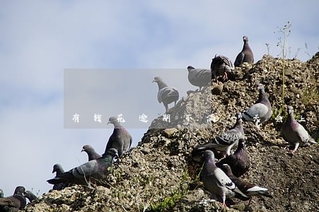 有钱花逾期不满一天会上征信吗 有钱花逾期不满一天会上征信吗