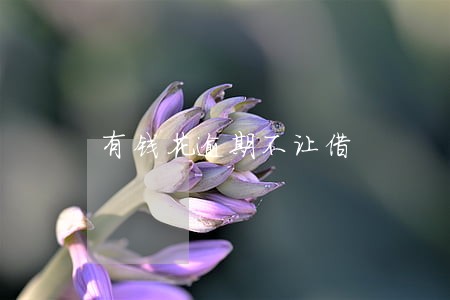 有钱花逾期不让借