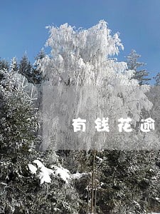 有钱花逾期不还会怎么样 有钱花逾期不还会怎么样
