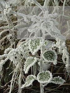 有钱花逾期两个月了 有钱花逾期两个月了