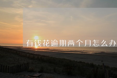 有钱花逾期两个月怎么办 有钱花逾期两个月怎么办