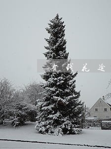 有钱花逾期两个月没事吧 有钱花逾期两个月没事吧